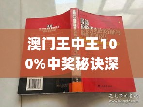 新澳门王中王100%期期中,财务指标优化_永恒版56.232