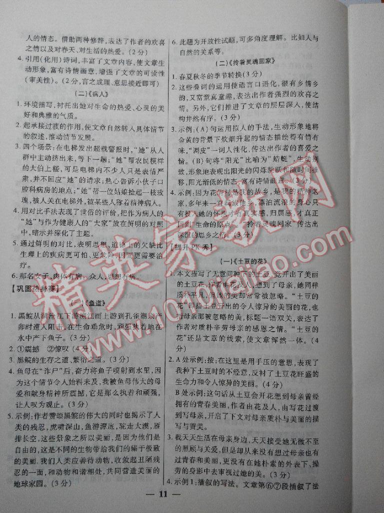 新澳正版资料免费大全,讲述解答解释落实_V293.847