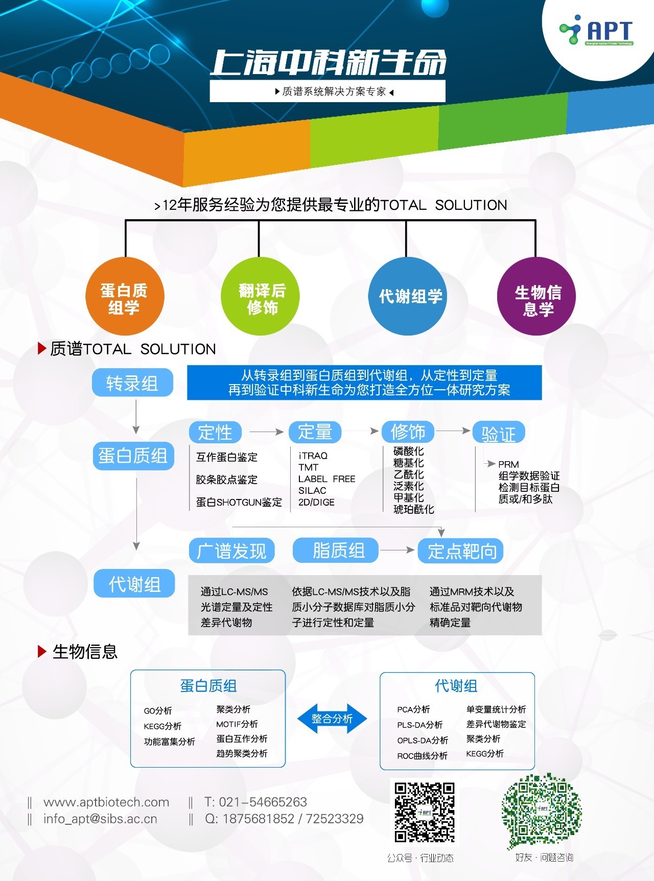 香港2024精准资料,专业指南建议解答_绿色款14.136