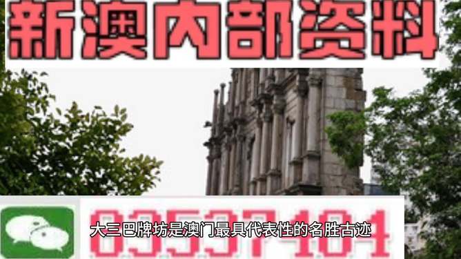 澳门最精准资料免费公开，揭示背后的风险与挑战