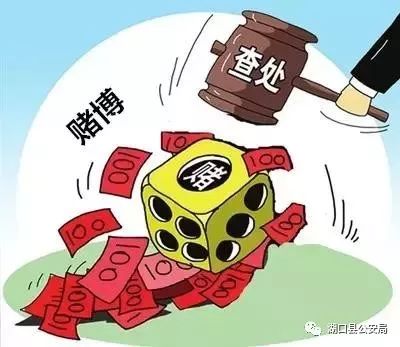 澳门一肖一码背后的犯罪问题，揭示真相与警示社会