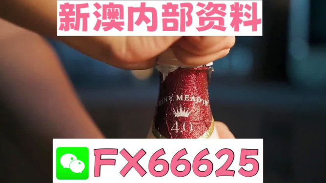 澳门三肖三码精准100%管家婆——揭示背后的犯罪风险与警示