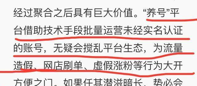 澳门三肖三码精准100%黄大仙，揭示背后的违法犯罪问题