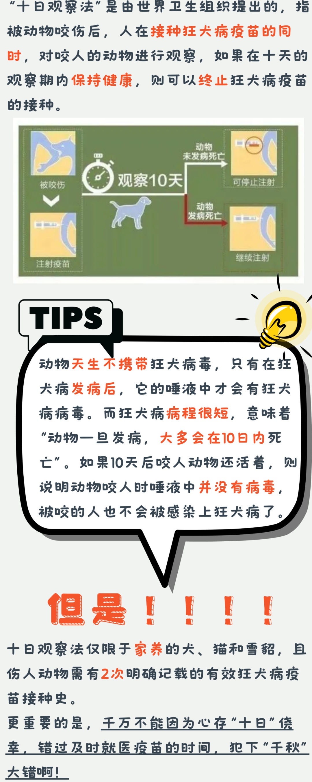 澳门管家婆四肖选一肖期期准——揭开神秘面纱下的违法犯罪真相