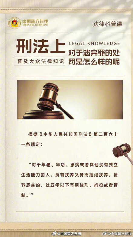 一肖一码一一肖一子，揭示背后的犯罪风险与应对之道