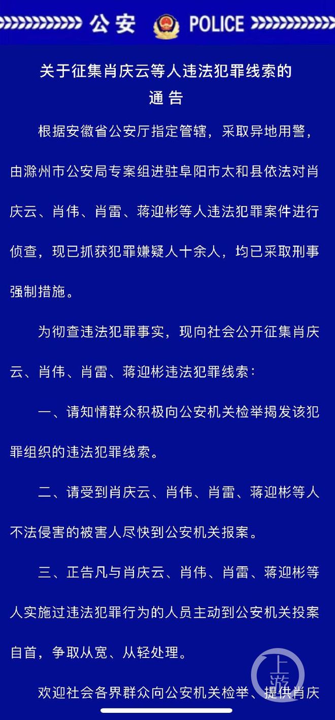 一肖一码一一肖一子在深圳，探究背后的违法犯罪问题