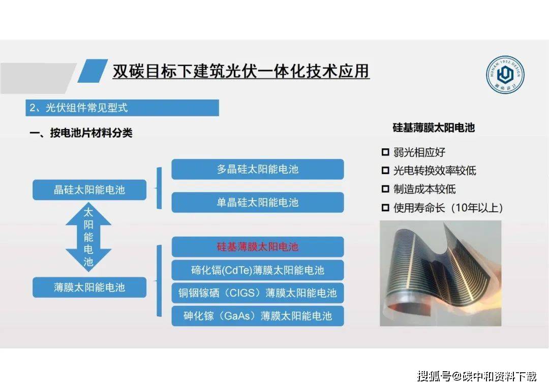 新奥天天正版资料大全，深度解析与实际应用