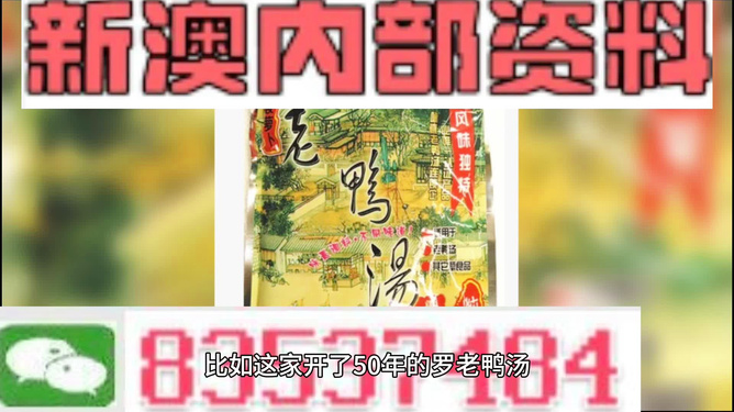 新澳正版资料免费大全，揭示背后的违法犯罪问题