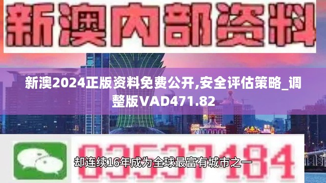 新澳2024年最新版资料深度解析与应用展望