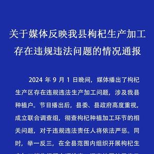 关于新澳正版资料与内部资料的探讨，揭示背后的违法犯罪问题