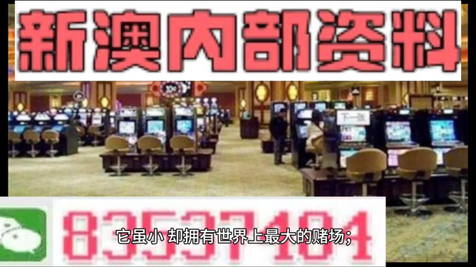 2024香港正版资料免费大全精准，探索信息的深度与广度