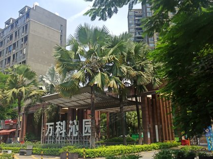 旅游 第42页