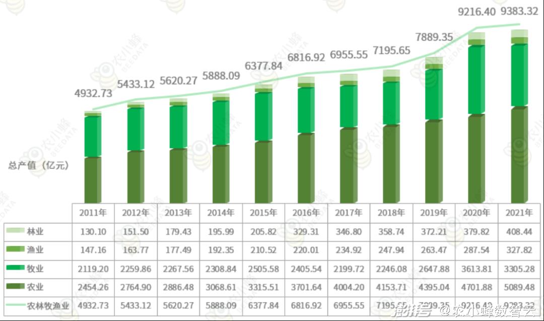 成都市母涛最新情况概述