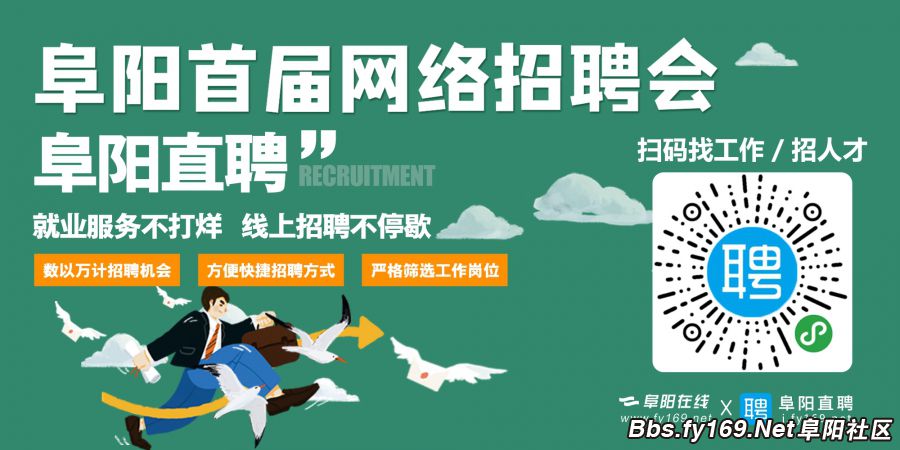 阜阳市招聘网最新招聘动态深度解析