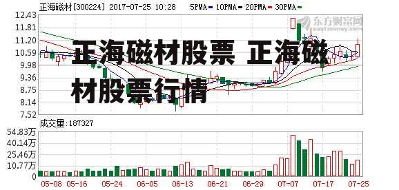 正海磁材股票最新消息全面解读