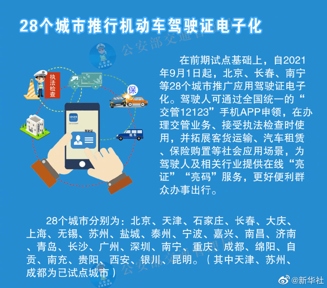 新奥资料免费精准天天大全，真实释义、解释与落实策略