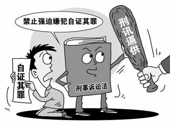 一肖一码，审议释义、解释与落实的重要性