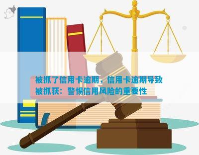 关于澳门彩票开奖结果的解析与计划落实的重要性——警惕违法犯罪风险