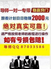 澳门天天彩期期精准，揭示犯罪现象的真相与打击策略