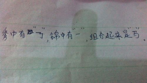 新澳门今晚必开一肖一特，专长释义、解释与落实——警惕背后的风险与犯罪问题