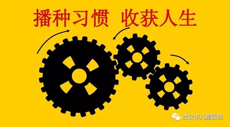 新澳2024天天正版资料大全，习惯释义解释落实的重要性与策略