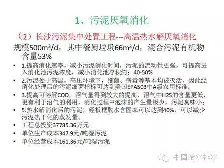 新澳门今晚必开一肖一特，理解与解读背后的含义及其实施问题探讨