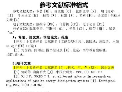 澳门最准的资料免费公开，精通释义、解释与落实的重要性